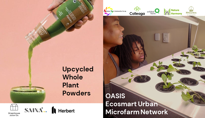Image of COLAB winners - Upcycled Whole Plant Powders with logos for Greenhouse Juice Co, Saina+ and Herbert Labs, and OASIS Ecosmart Urban Microfarm Network with logos of project participants