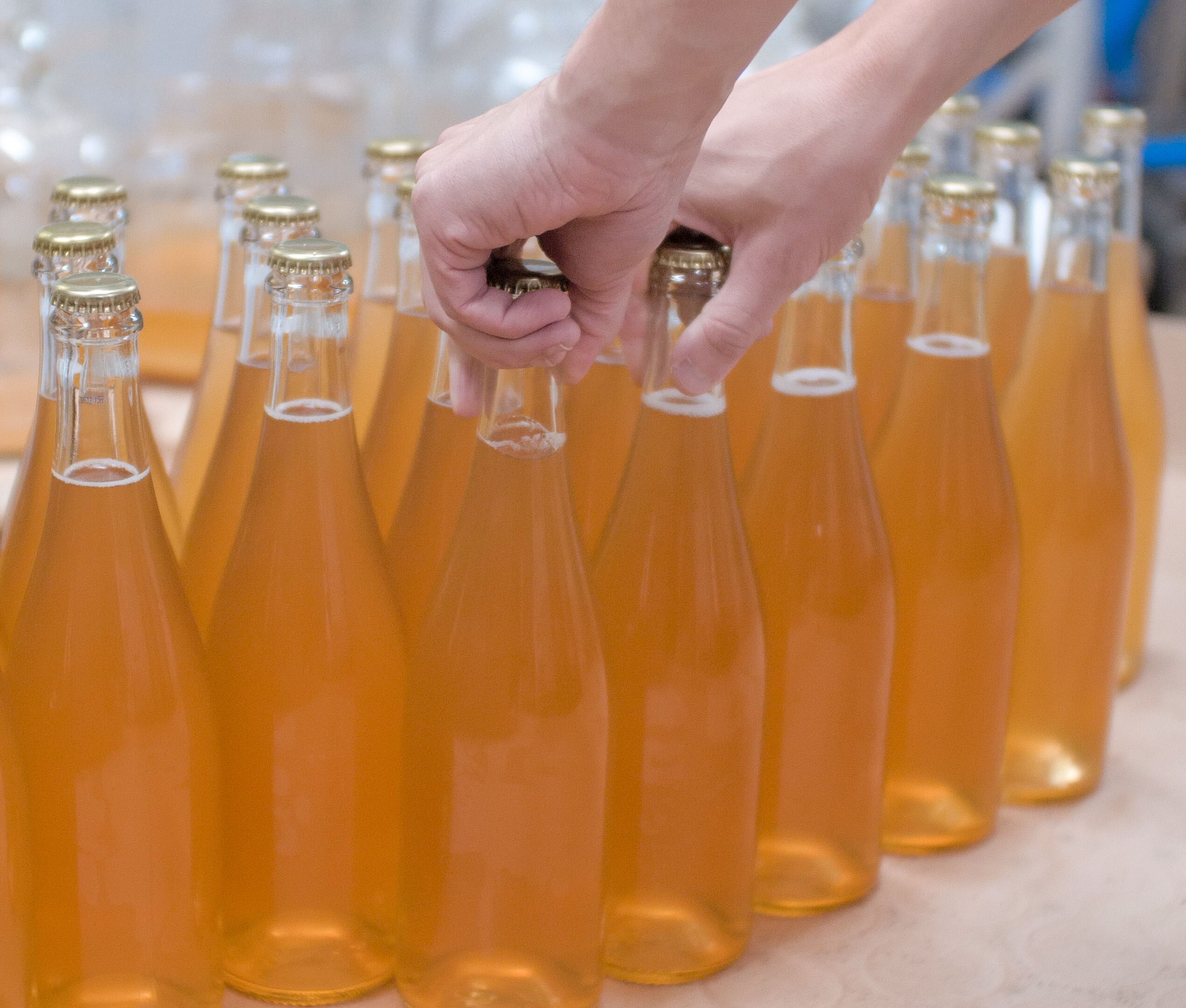 Cider bottles on a canning line