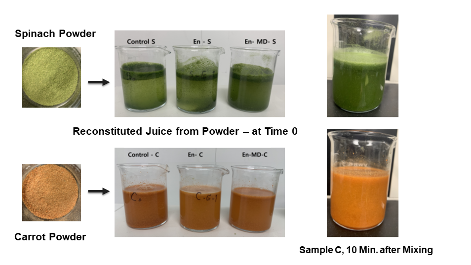 Images showing Spinach Powder and Carrot Powder moving from a powdered to reconstitutued form 10 minutes after mixing.
