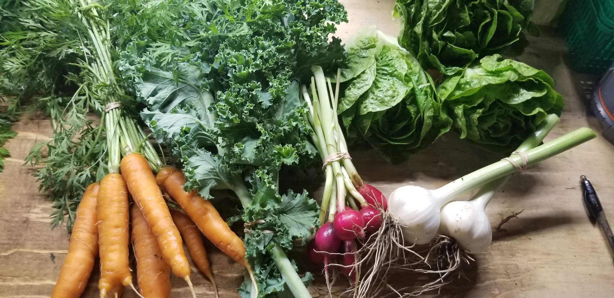 Carrots, kale, radishes, lettuce, and garlic from Winterhill Farm and Garden